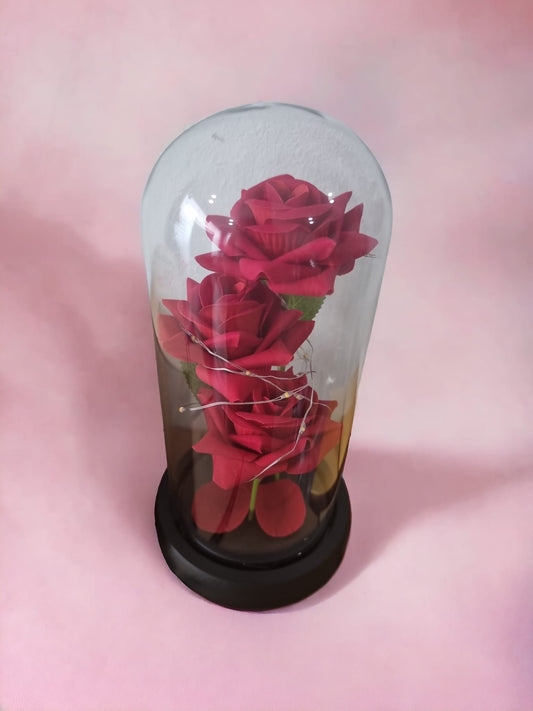 3 Red Roses in Glass Acrylic Cylinder with Lights - A Perfect Gift - Auras Workshop  -   -   - Cyprus & Greece