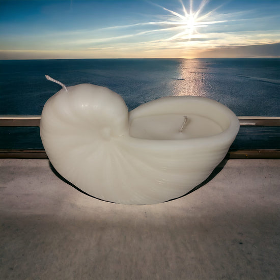 Seashell Candle in Vanilla Cream Scent - Auras Workshop  -   -   - Cyprus & Greece Auras Workshop