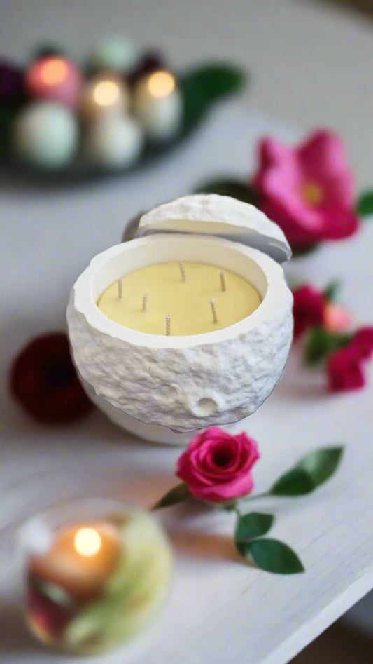 Citronella Candle in Porcelain Moon | Natural Insect - Repelling Candle with 100% Rapeseed Wax - Auras Workshop Auras Workshop