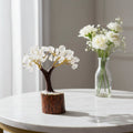 Mini Clear Quartz Crystal Tree with Wooden Base - Auras Workshop Auras Workshop