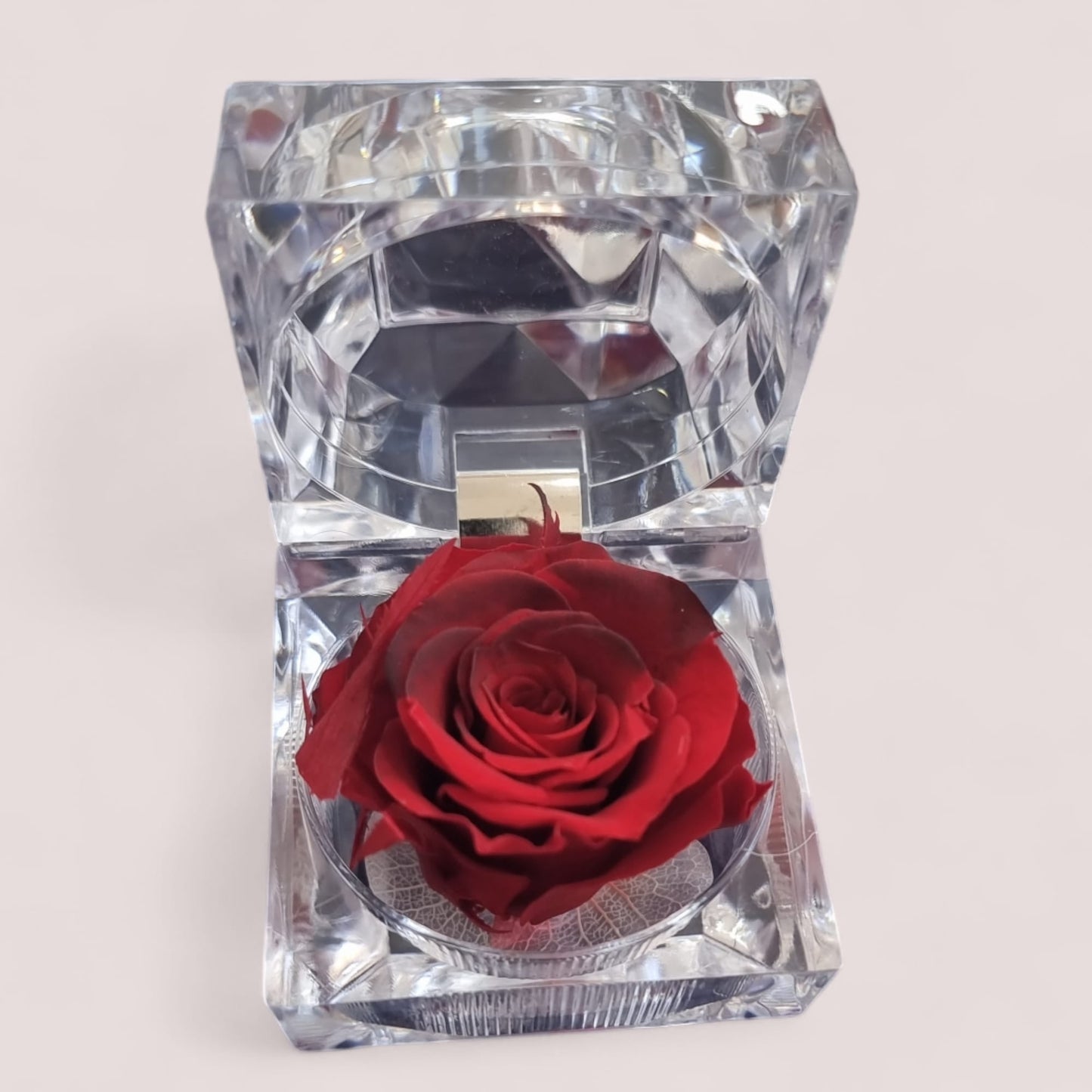 Preserved Dark & Light Red Rose in Glass Acrylic Box - A Perfect Valentines Gift - Auras Workshop Auras Workshop