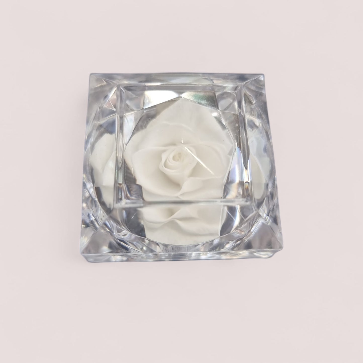 Preserved White Rose in Glass Acrylic Box - A Perfect Valentines Gift - Auras Workshop Auras Workshop