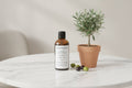 Pure Olive Oil 100ml – Olea Europaea Base Oil - Auras Workshop Auras Workshop
