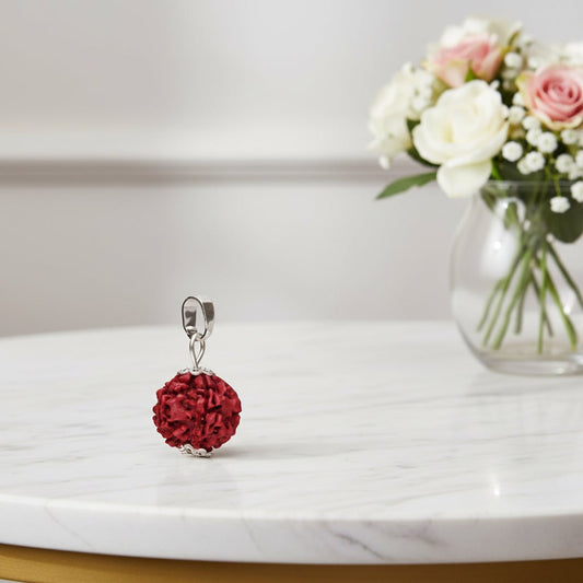Rudraksha Seed Pendant –Crystal Jewellery - Auras Workshop Auras Workshop