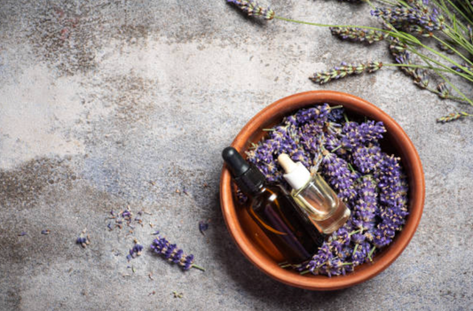 Essential Oils: Harnessing Nature’s Potent Scents for Health and Well-Being