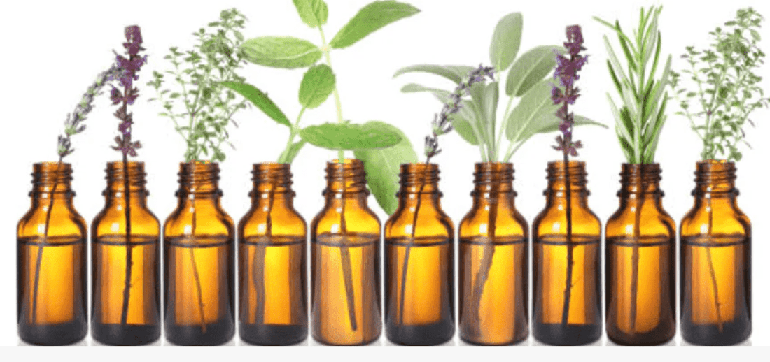 Discover the Benefits of Essential Oils in Cyprus - Auras Workshop