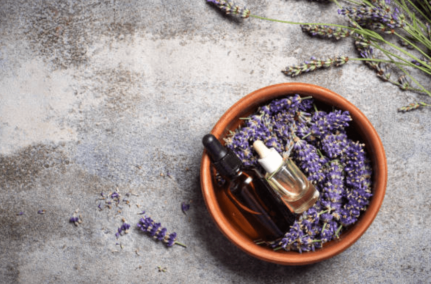 Essential Oils: Harnessing Nature’s Potent Scents for Health and Well-Being - Auras Workshop