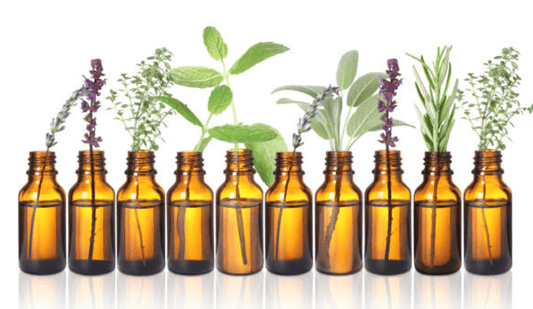 Fragrance Oils: Capturing Delightful Scents for Various Uses - Auras Workshop