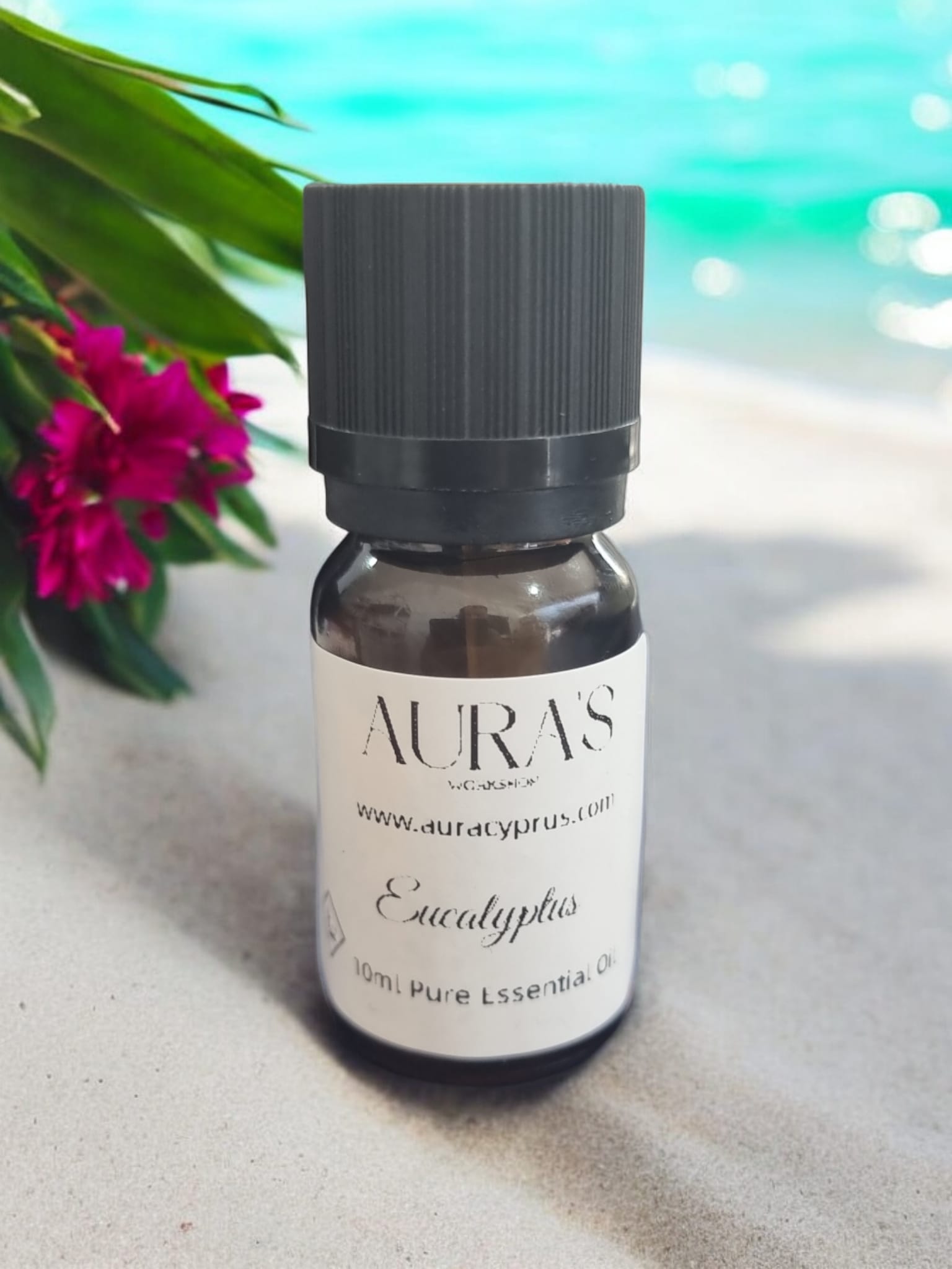 10 ml Eucalyptus Essential Oil - Auras Workshop Auras Workshop