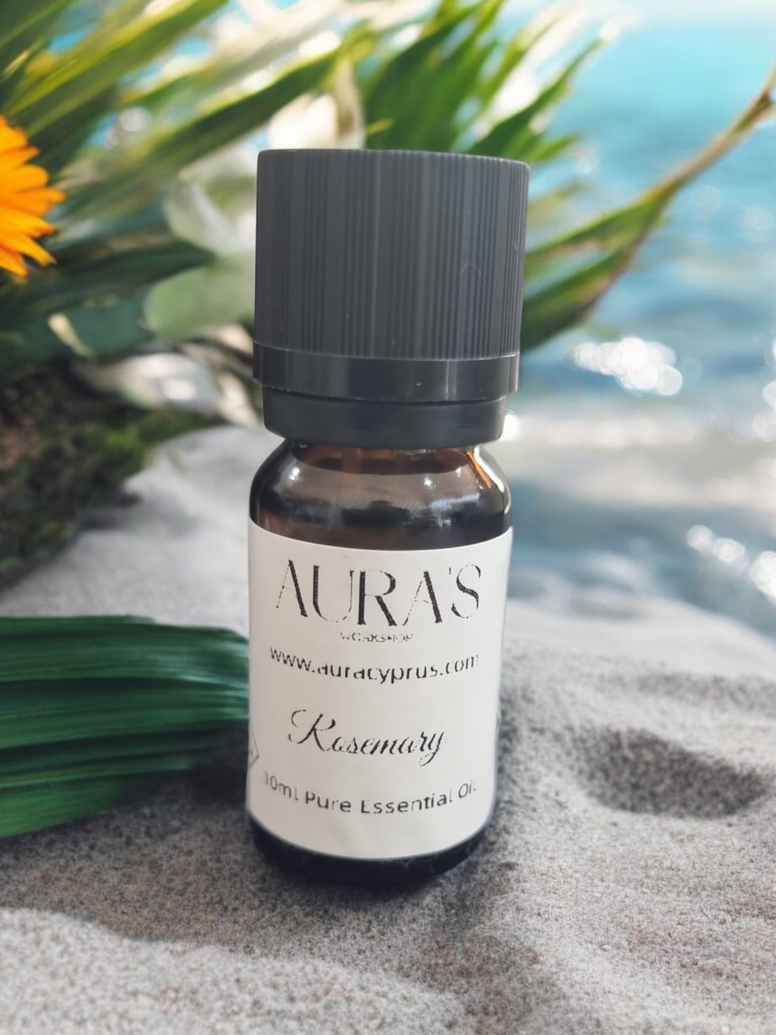 10 ml Rosemary Essential Oil - Auras Workshop Auras Workshop