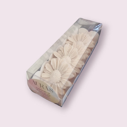 5x Cinnamon Scented Wardrobe Flowers in Decorative Box - Auras Workshop Auras Workshop