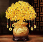 Chinese Money Tree - A Perfect Gift