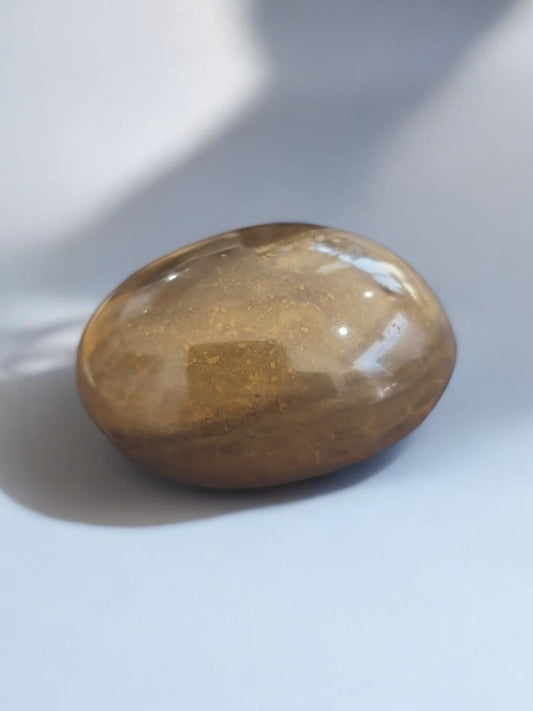 Brown Ocean Jasper Palm Stone Crystal