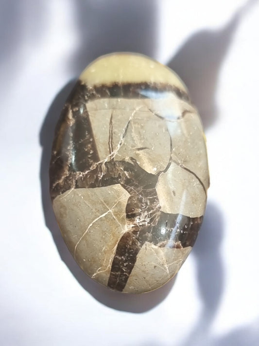 Septarian Palm Stone Crystal