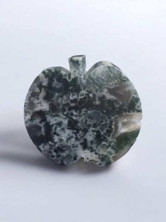 Apple Thick Moss Agate Crystal - Auras Workshop Auras Workshop