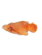 Carnelian Crystal Arrowhead – 2 × 3 cm - Auras Workshop Auras Workshop