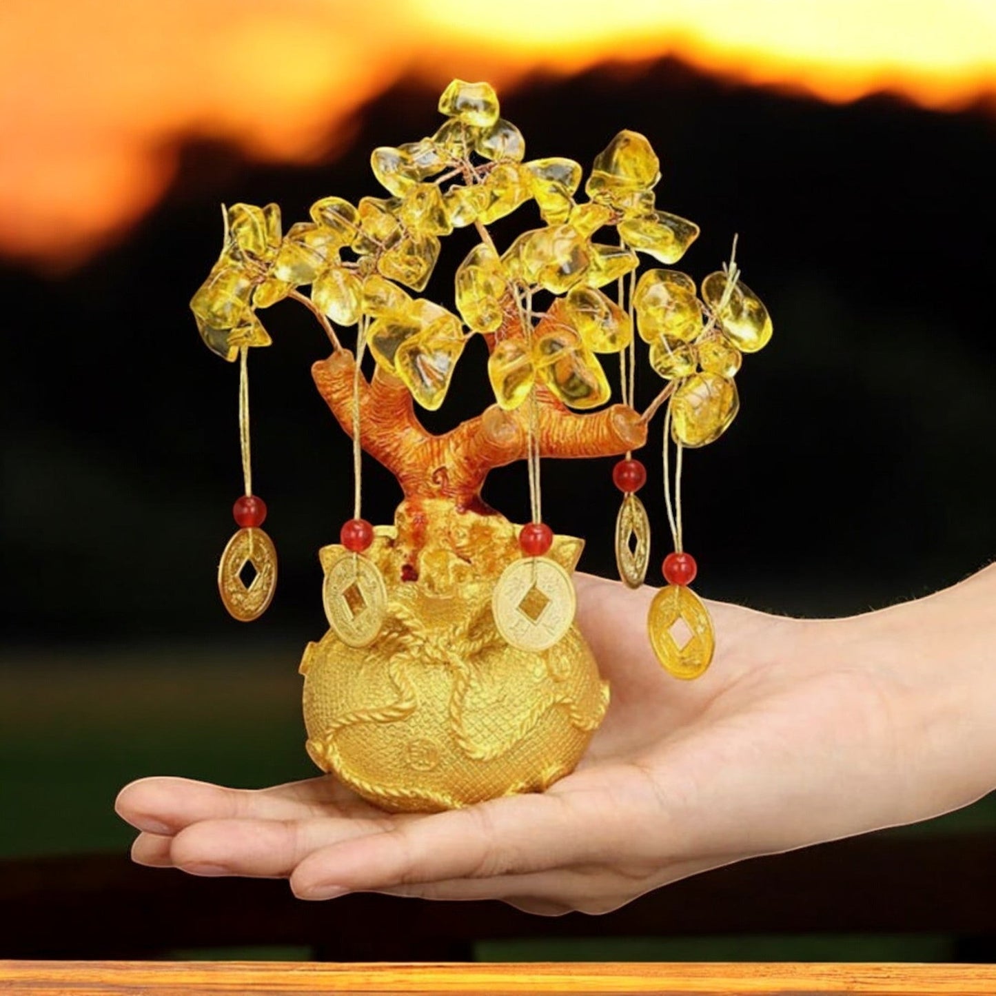 Chinese Money Tree - A Perfect Gift - Auras Workshop Auras Workshop