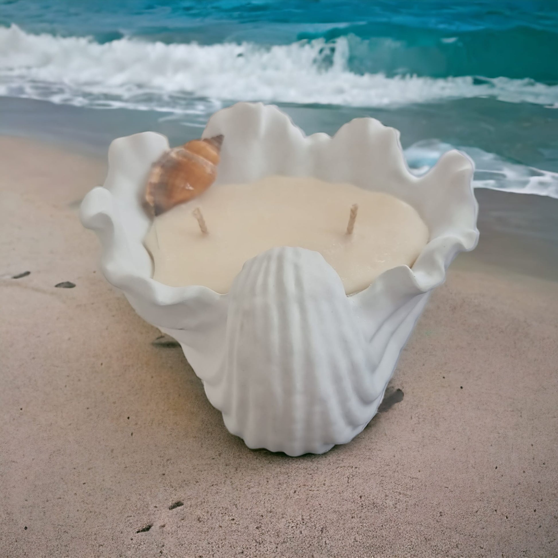 Citrus Scented Sea Shell Candle - Auras Workshop Auras Workshop