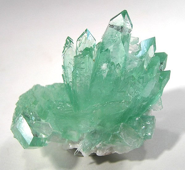 Apophyllite