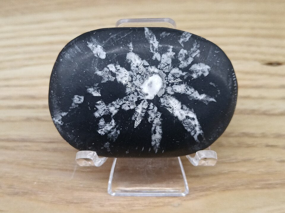 Chrysanthemum Stone