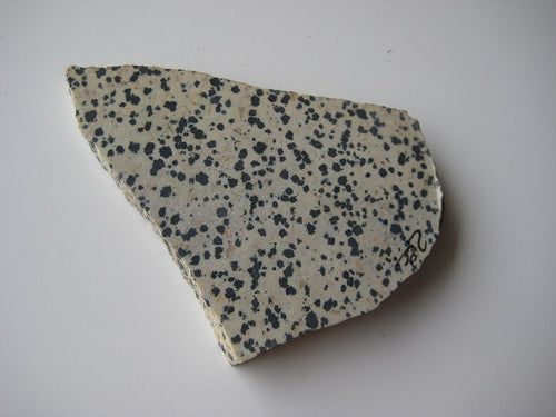 Dalmatian Jasper