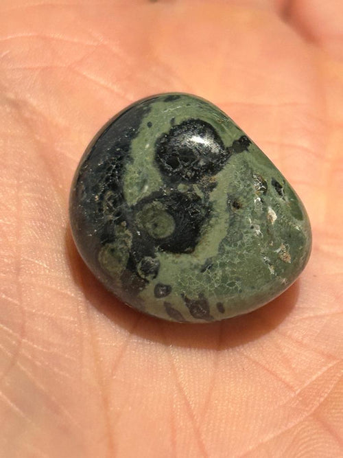 Kambaba Jasper