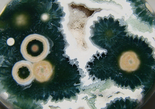 Ocean Jasper