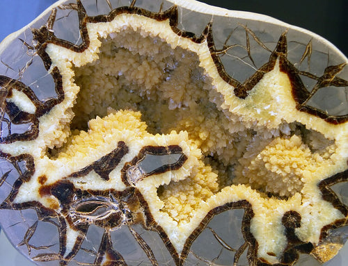 Septarian