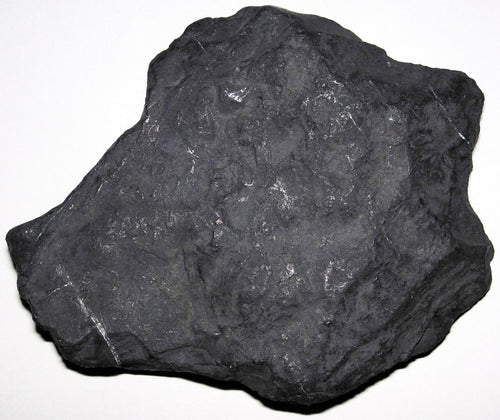 Shungite