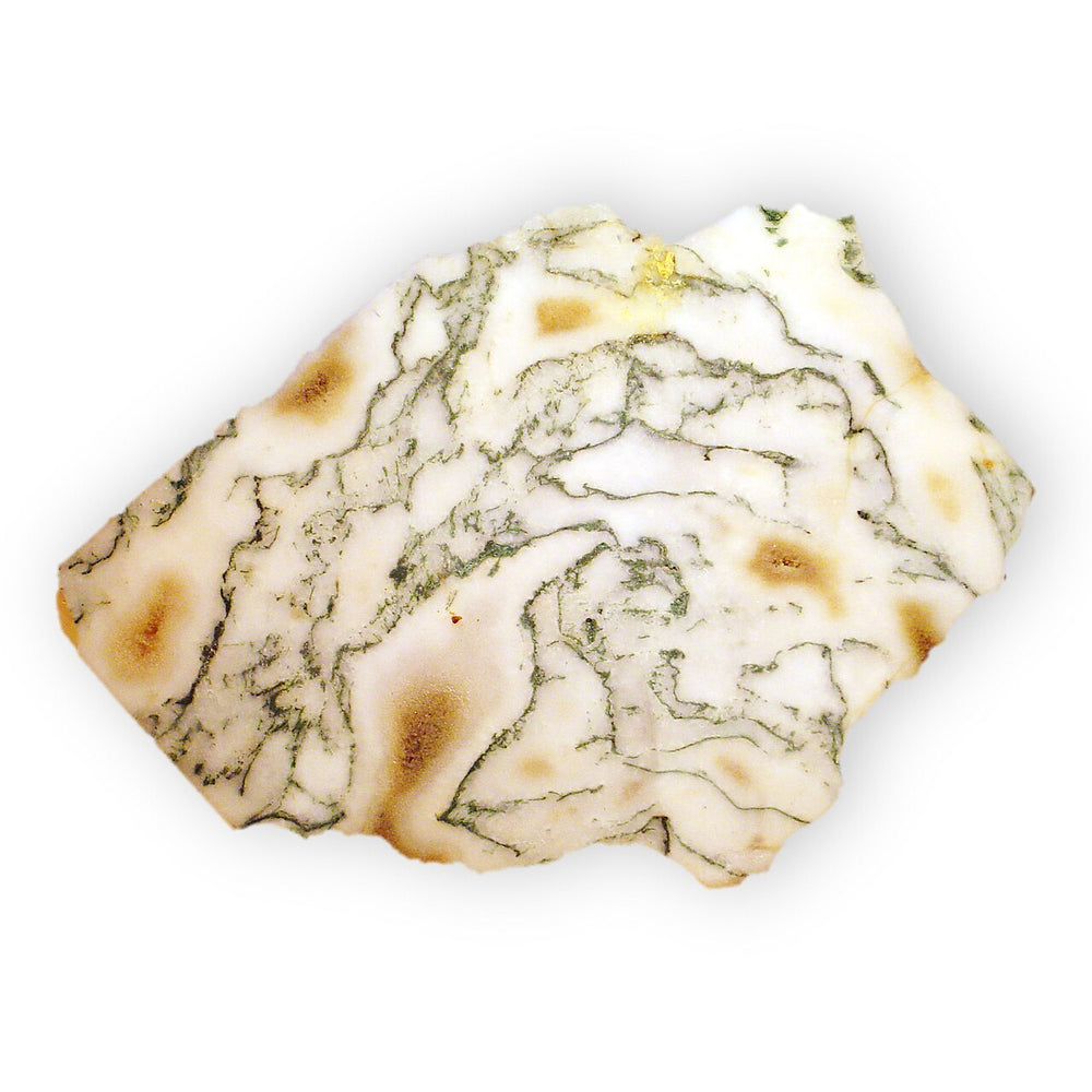 Tree Agate