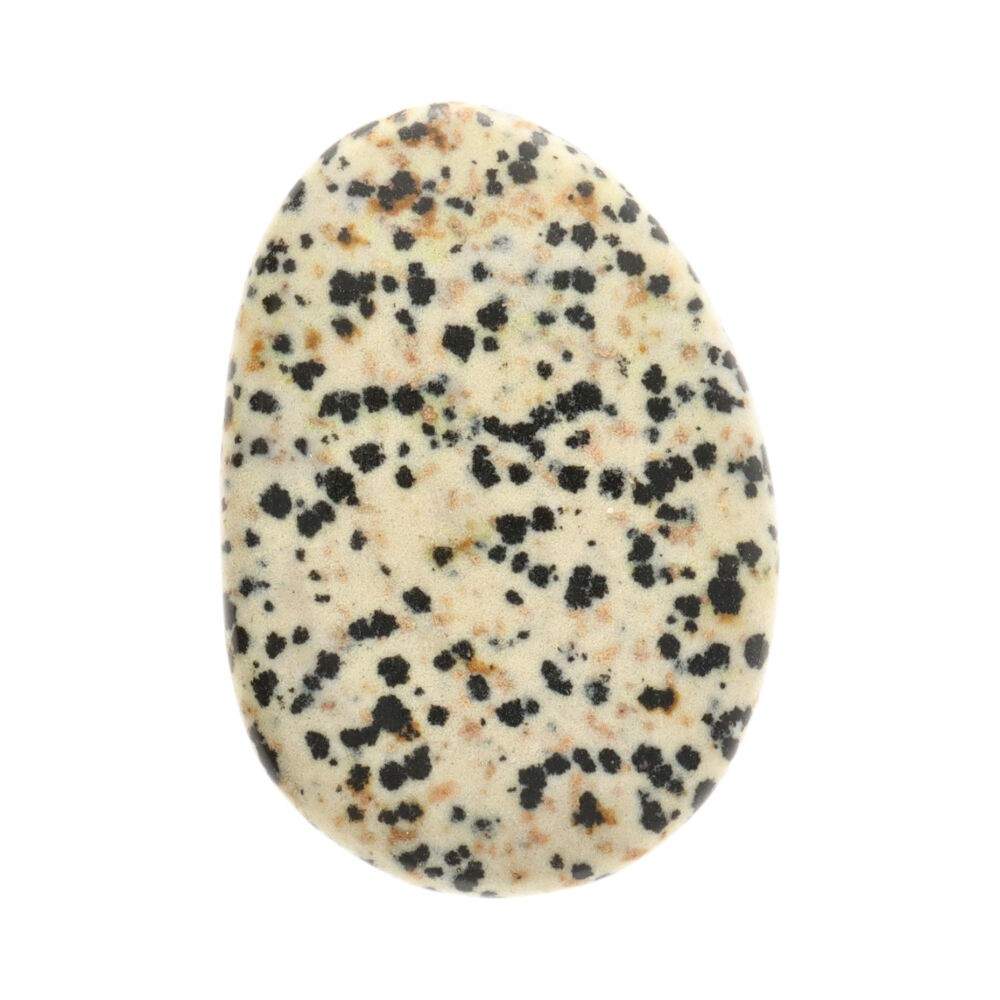 Dalmatian Jasper Flat Polished Stone – 3.5 × 6 cm - Auras Workshop Auras Workshop
