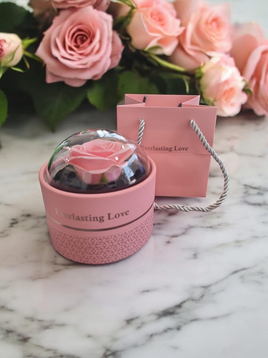 Eternal Love Pink Rose Dome Jewerelly Box with Gift Bag – Romantic Valentine’s Day Gift