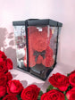Eternal Love Red Rose Large Bear in Box – 40cm Romantic Valentine’s Gift - Auras Workshop Auras Workshop