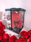 Eternal Love Red Rose Large Bear in Box – 40cm Romantic Valentine’s Gift - Auras Workshop Auras Workshop