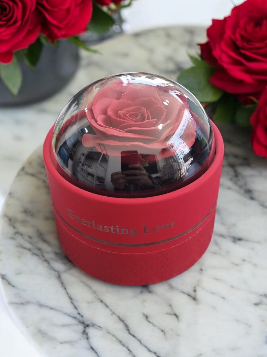 Eternal Love Rose Dome Jewellery Box with Gift Bag – Romantic Valentine’s Day Gift