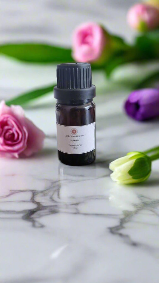 🌶 Ginger Essential Oil – 10ml - Auras Workshop Auras Workshop