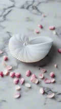 🐚 Large Seashell Home Décor – Handcrafted Coastal Accent Piece - Auras Workshop Auras Workshop