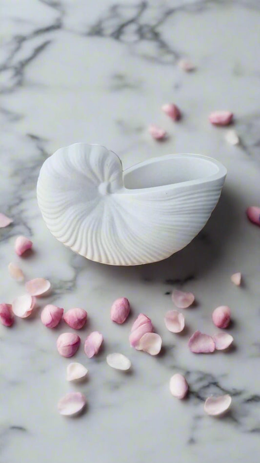 🐚 Large Seashell Home Décor – Handcrafted Coastal Accent Piece - Auras Workshop Auras Workshop