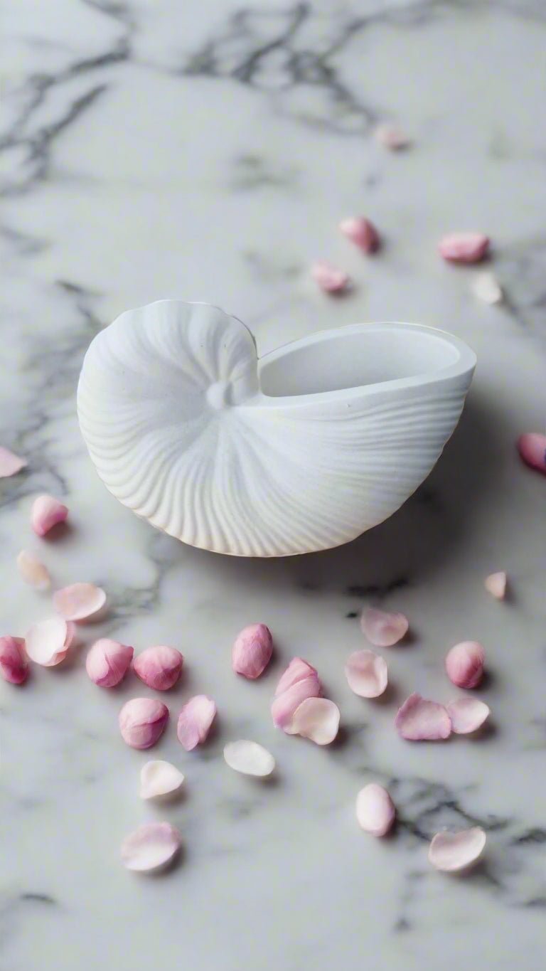 🐚 Large Seashell Home Décor – Handcrafted Coastal Accent Piece
