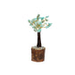 Mini Amazonite Crystal Tree with Wooden Base – 11 cm