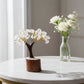 Mini Clear Quartz Crystal Tree with Wooden Base - Auras Workshop Auras Workshop