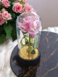 Pink Rose in Glass Acrylic Cylinder with Lights - A Perfect Valentines Gift - Auras Workshop Auras Workshop