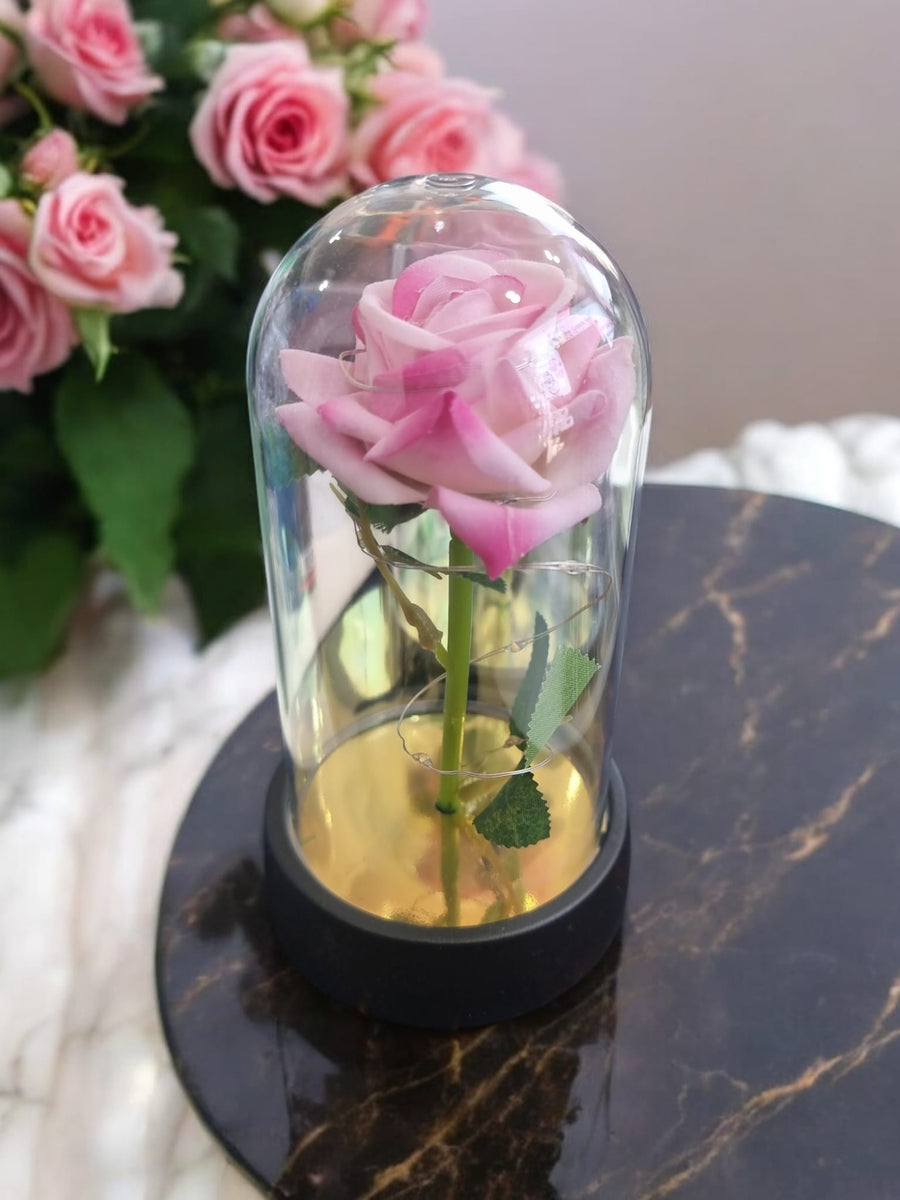 Pink Rose in Glass Acrylic Cylinder with Lights  - A Perfect Valentines Gift