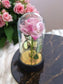 Pink Rose in Glass Acrylic Cylinder with Lights - A Perfect Valentines Gift - Auras Workshop Auras Workshop