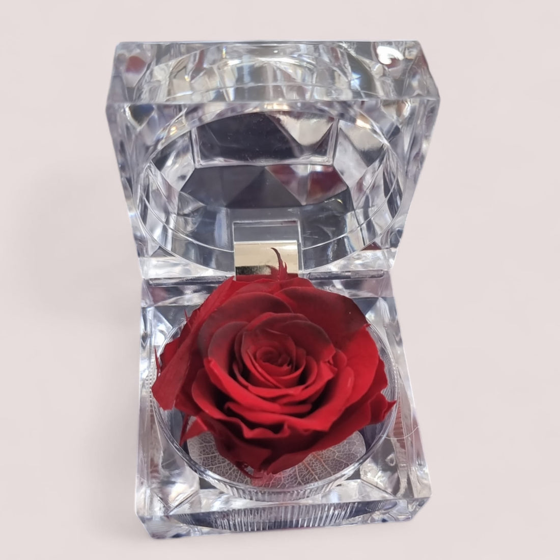 Preserved Dark & Light Red Rose in Glass Acrylic Box - A Perfect Valentines Gift - Auras Workshop Auras Workshop