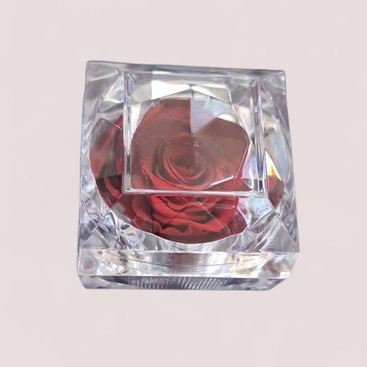 Preserved Dark & Light Red Rose in Glass Acrylic Box - A Perfect Valentines Gift - Auras Workshop Auras Workshop