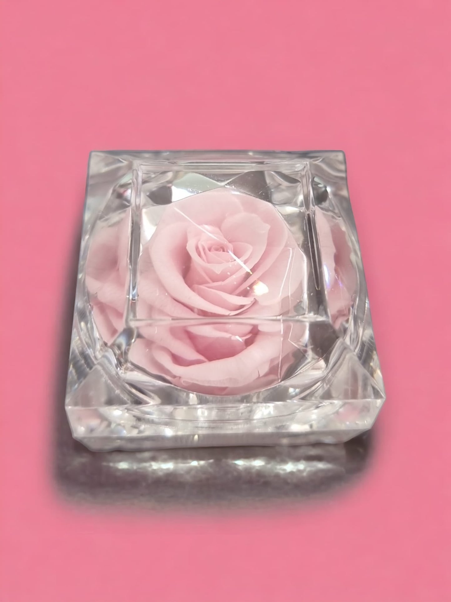 Preserved Pink Rose in Glass Acrylic Box - A Perfect Gift - Auras Workshop Auras Workshop