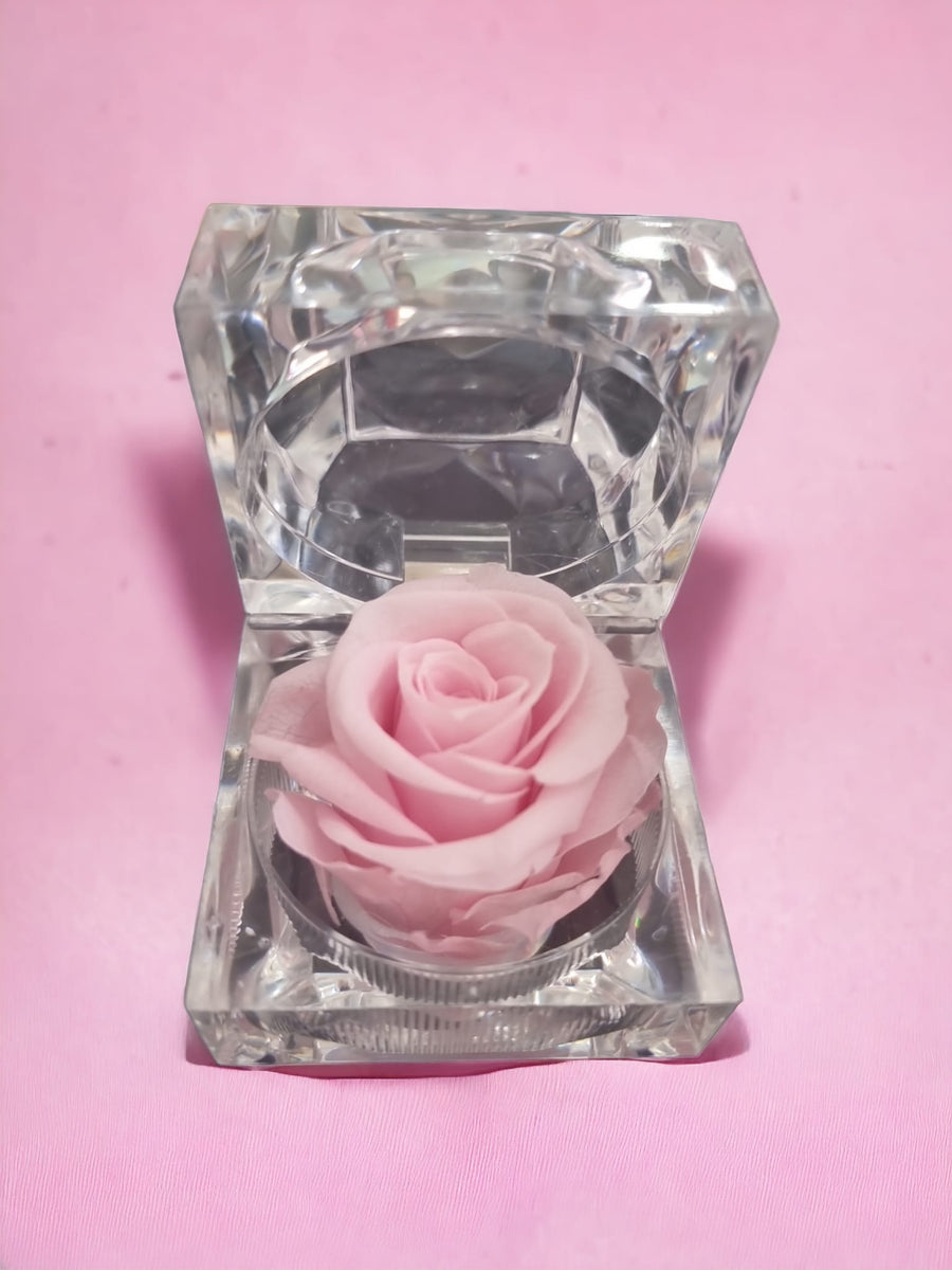Preserved Pink Rose in Glass Acrylic Box - A Perfect Gift