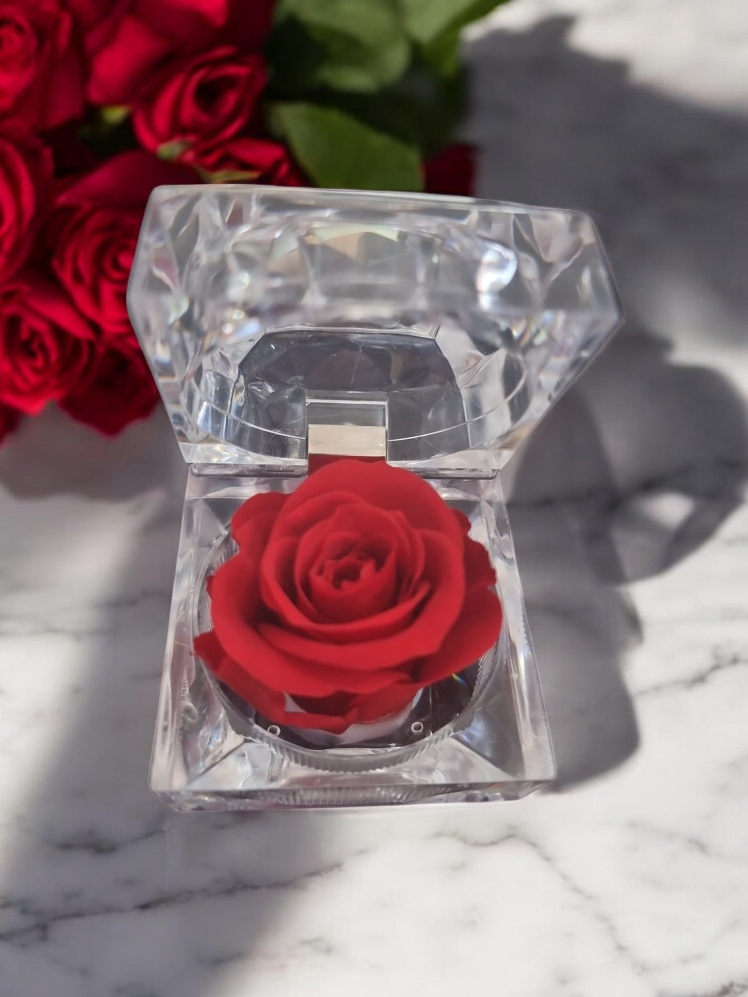 Preserved Red Rose in Glass Acrylic Box - A Perfect Valentines Gift - Auras Workshop Auras Workshop