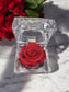 Preserved Red Rose in Glass Acrylic Box - A Perfect Valentines Gift - Auras Workshop Auras Workshop